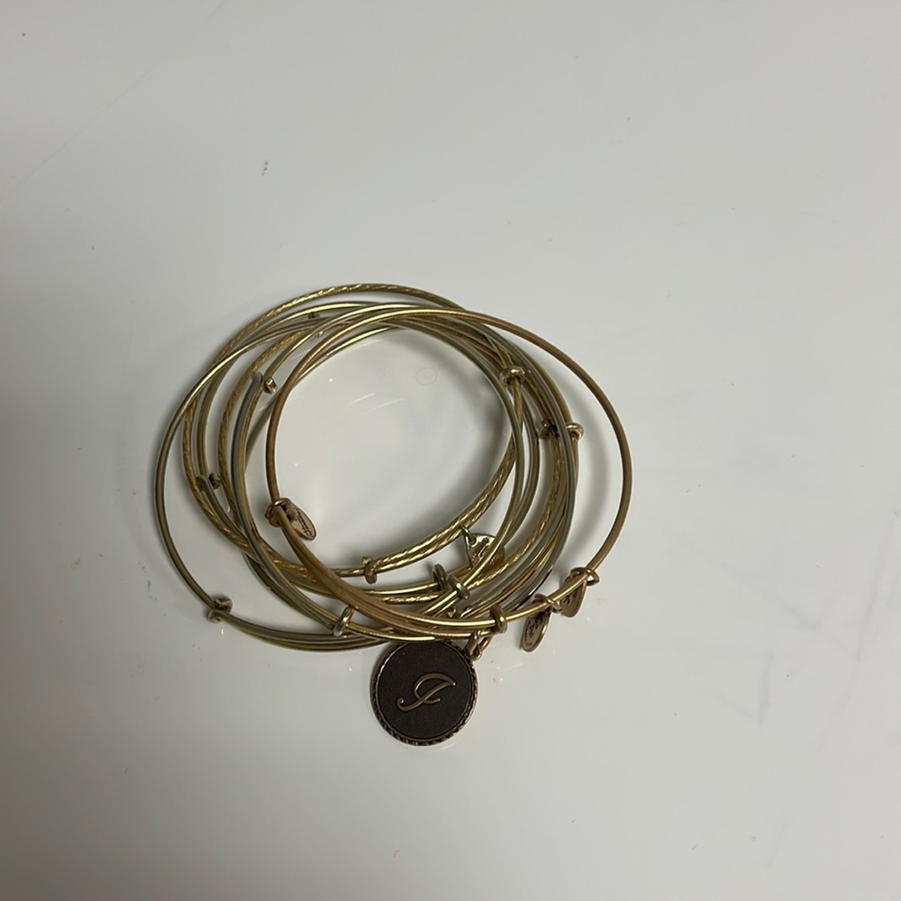 Alex and ani bracelet/bangle